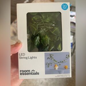 New in box ivy fairy lights